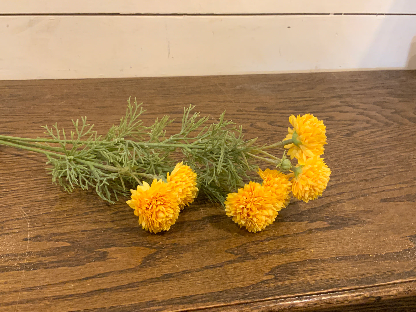 Yellow Chrysanthemum Stem