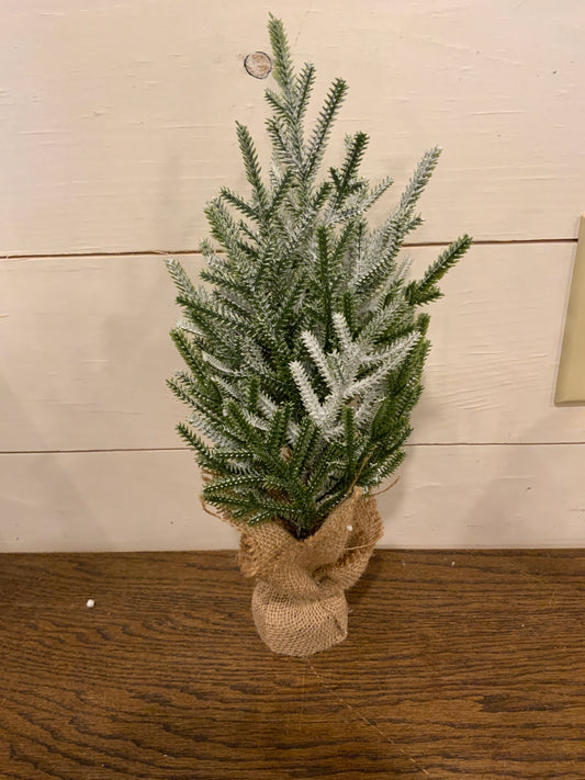 Frostbite pine tree 12”