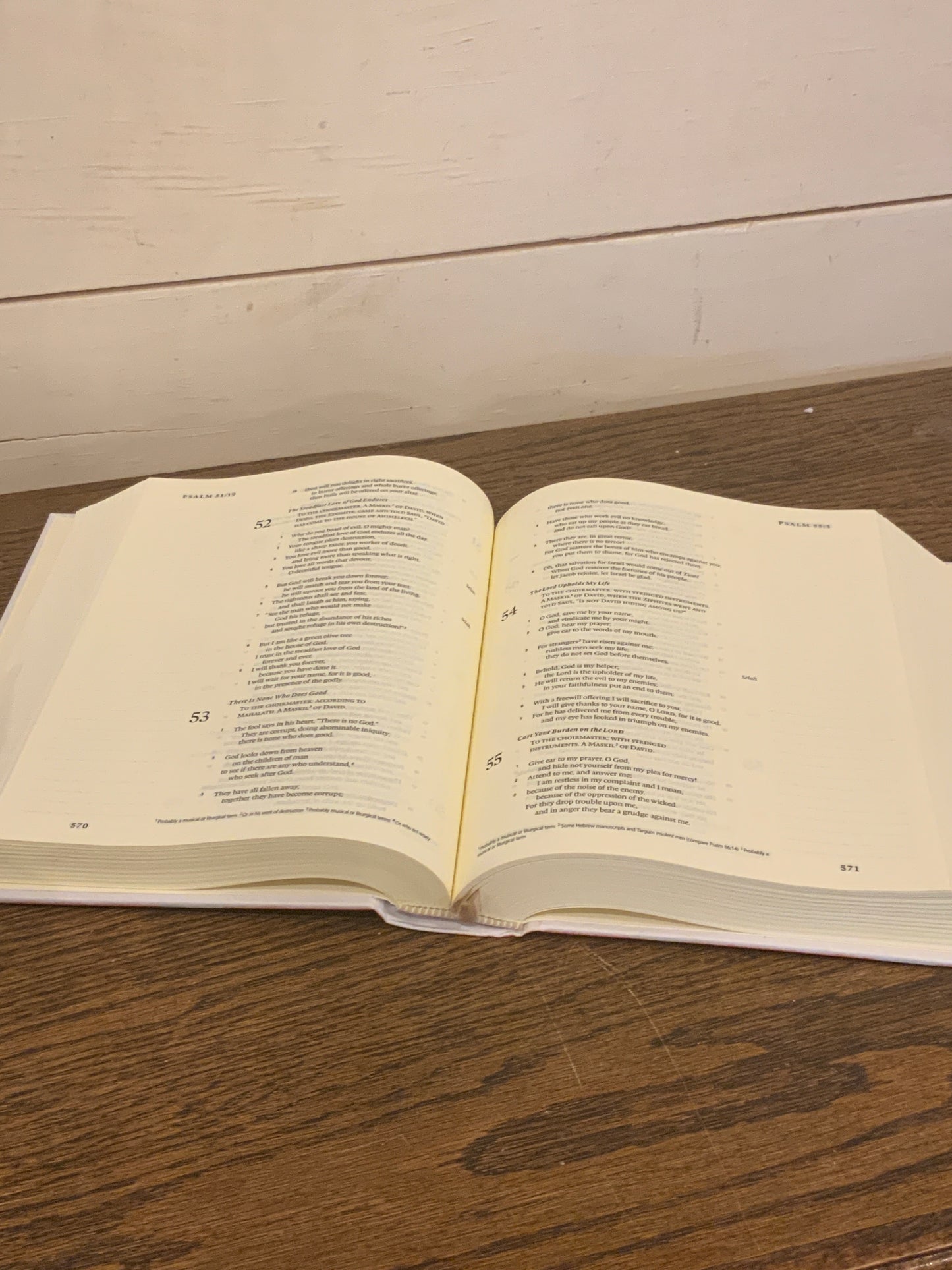 Western ESV Bible