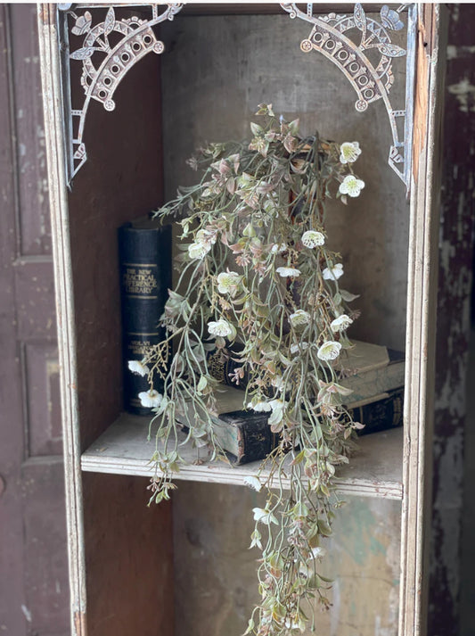 Julep blooms hanging