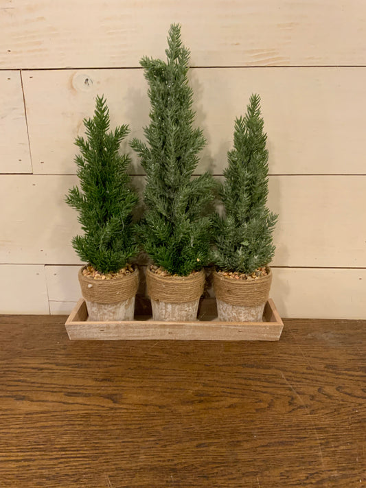 15.5” holiday potted tree